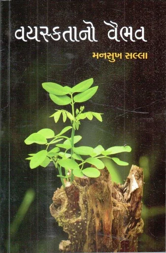 Vayasktano Vaibhav